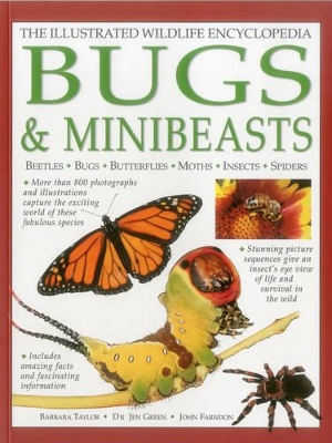 Illustrated Wildlife Encyclopedia: Bugs & Minibeasts book