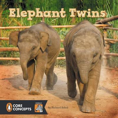 Elephant Twins book