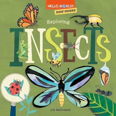Hello, World! Kids' Guides: Exploring Insects book