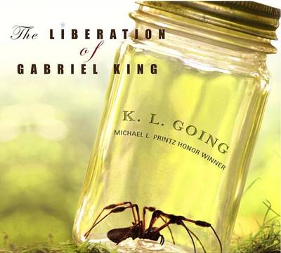 Liberation of Gabriel King book