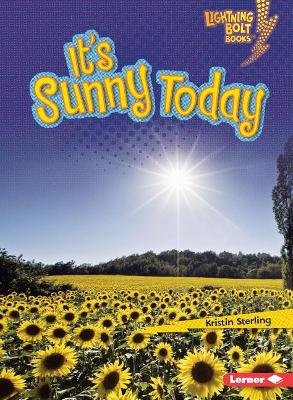 It's Sunny Today book