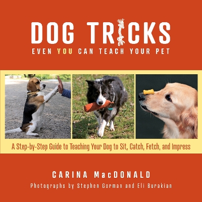 Dog Tricks Even You Can Teach Your Pet: A Step-by-Step Guide to Teaching Your Pet to Sit, Catch, Fetch, and Impress book