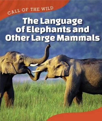 Language of Elephants and Other Large Mammals by Megan Kopp