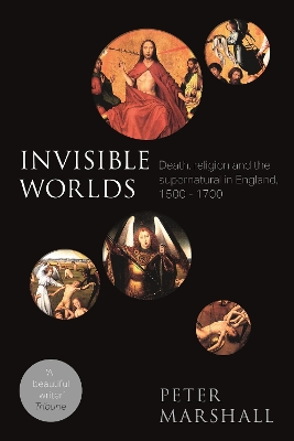 Invisible Worlds book