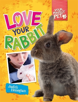 Your Perfect Pet: Love Your Rabbit book