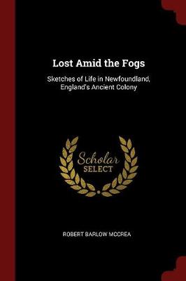 Lost Amid the Fogs book