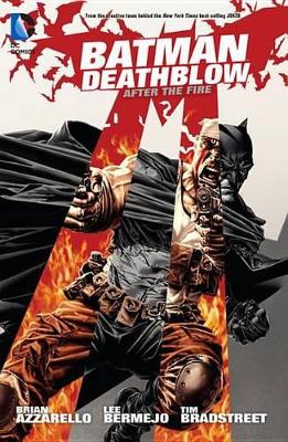 Batman/Deathblow: After the Fire TP book