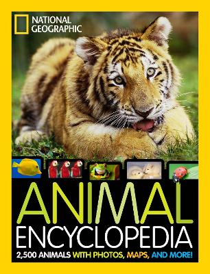 Animal Encyclopedia by Lucy Spelman