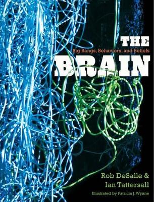 The Brain by Rob DeSalle