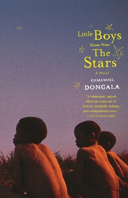 Little Boys Come from the Stars book