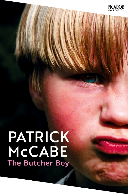 The Butcher Boy book