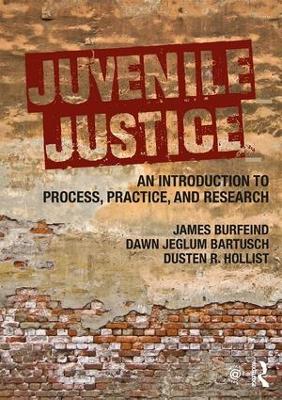 Juvenile Justice by James Burfeind