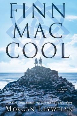 Finn Mac Cool book