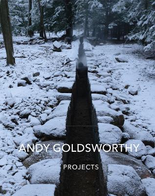 Andy Goldsworthy: Projects book