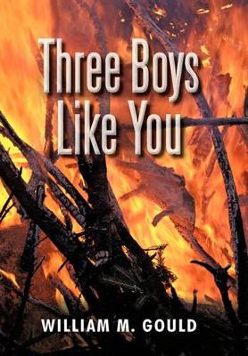 Three Boys Like You book