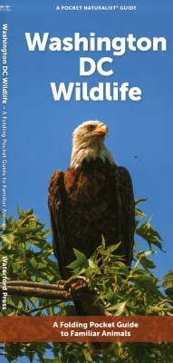 Washington DC Wildlife: A Folding Pocket Guide to Familiar Animals book