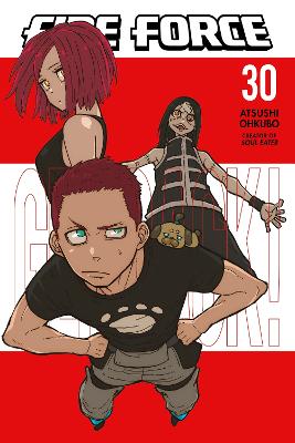 Fire Force 30 book