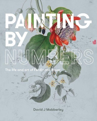 Painting by Numbers book