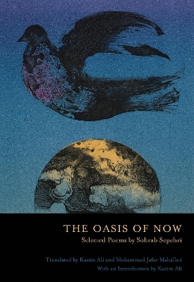 Oasis of Now book