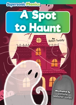 A Spot to Haunt by Robin Twiddy