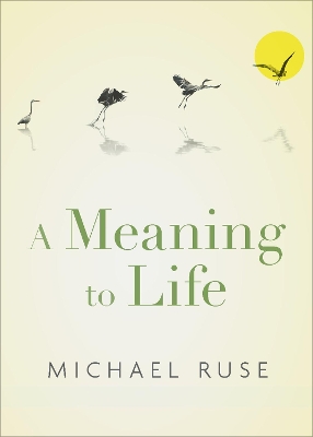 A Meaning to Life book