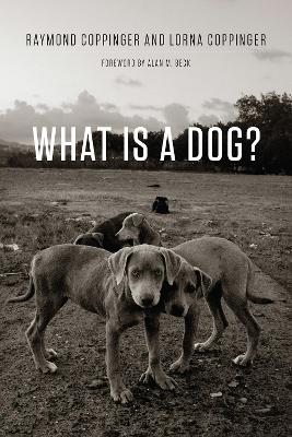 What is a Dog? book