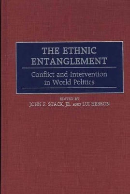 Ethnic Entanglement book