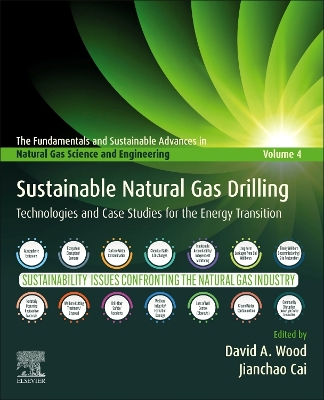 Sustainable Natural Gas Drilling: Technologies and Case Studies for the Energy Transition book