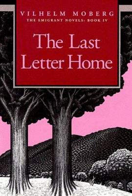 Last Letter Home book