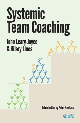 Systemic Team Coaching book