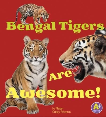 Bengal Tigers Are Awesome! by Megan C Peterson