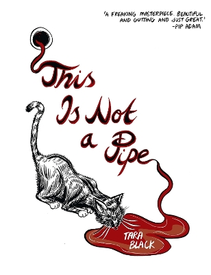 This Is Not A Pipe book
