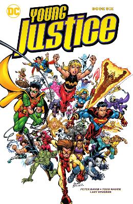 Young Justice Book Six book