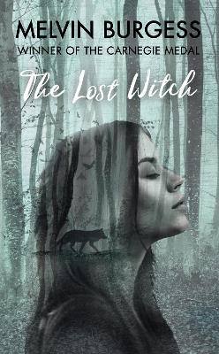 The Lost Witch book