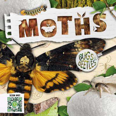 Moths by William Anthony