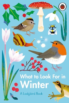 What to Look For in Winter book