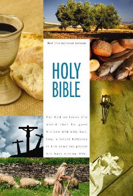 NIV Holy Bible book