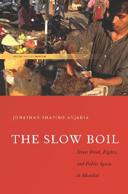 The Slow Boil by Jonathan Shapiro Anjaria