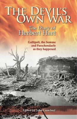 Devil's Own War book
