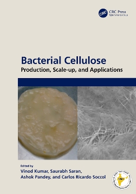 Bacterial Cellulose: Production, Scale-up, and Applications book