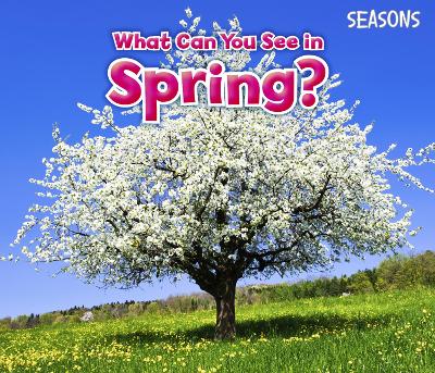What Can You See In Spring? by Sian Smith