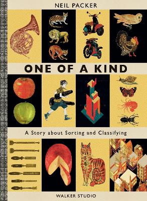 One of a Kind: A Story About Sorting and Classifying by Neil Packer