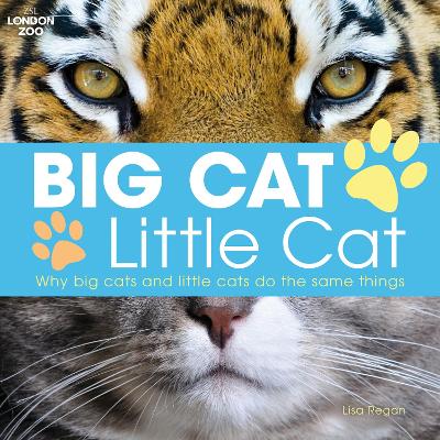 Big Cat, Little Cat by Lisa Regan