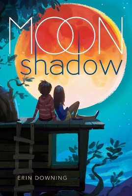 Moon Shadow book