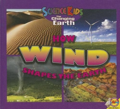 How Wind Shapes the Earth book
