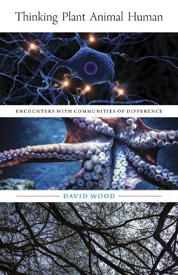 Thinking Plant Animal Human: Encounters with Communities of Difference by David Wood
