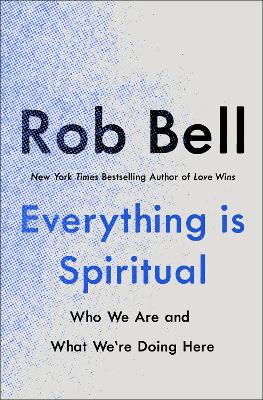 Everything is Spiritual: A Brief Guide to Who We Are and What We're Doing Here book