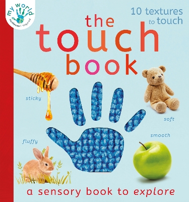 The Touch Book: a sensory book to explore book