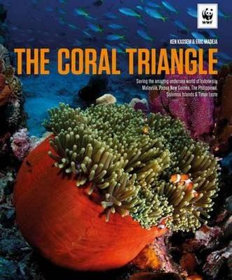 Coral Triangle book