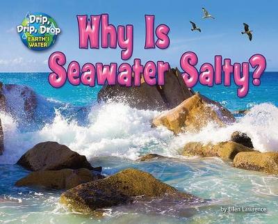Why Is Seawater Salty? book